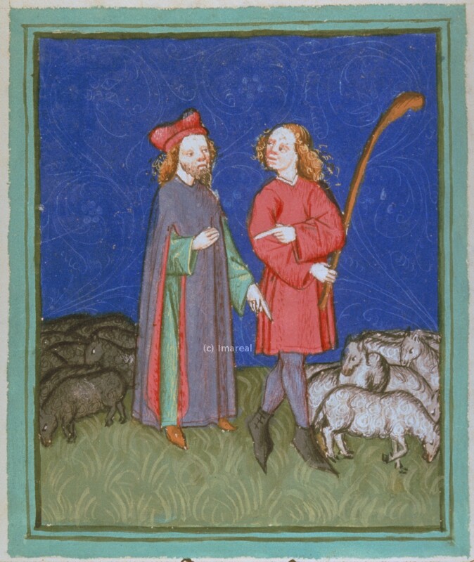 Jakob und Laban teilen das Vieh