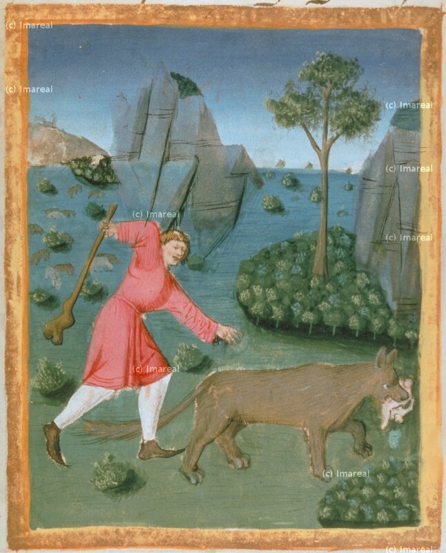 Romulus und Remus werden von einer Wölfin geraubt